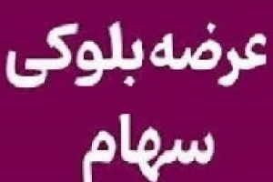 ونوین بعد از ناکامی در فروشوساخت تصمیم به عرضه۱۰۰ درصدی گرفت