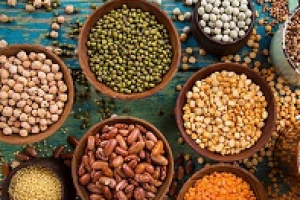 توقف ممنوعیت صادرات حبوبات با رای دیوان عدالت لغو شد
