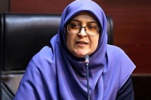 معرفی وزیر اقتصاد به مذاکرات گره نخورده و طبق فرصت اعلام می شود