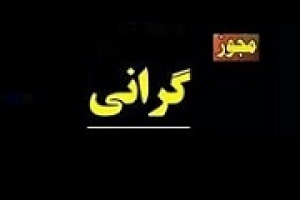 محصولات قطعه ساز بورسی ۱۴ درصد گران شد/ برآورد اثر ریالی