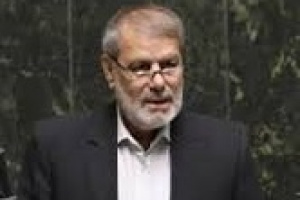 اظهارات عجیب نماینده مجلس درباره عدم اثر ساز و کار ماشه و تزلزل اروپا !