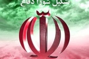 ماده قانونی، ساختار تشکیل شورای دفاع، اعضا و یکی دو احتمال