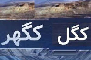 ادعای نماینده سابق درباره دو شرکت معدنی و درخواست از پزشکیان!
