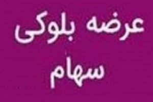 عرضه بلوک ۲ درصدی وامیر به ارزش ۱۱۸.۲ میلیارد تومان