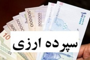 برنامه بانک مرکزی برای استفاده از سپرده‌های ارزی در شرکت ها!