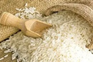 قالیباف نامه ممنوعیت واردات برنج را به پزشکیان ارسال کرد