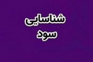 اثر نرخ جدید تسعیر ارز با سود ناخالص ۶۱۱ میلیارد تومانی بانک شهر