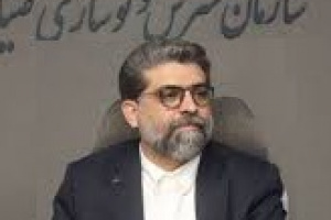 رئیس ایدرو خواهان حفظ مالکیت ۲۰ درصدی دولت در سهام ایران خودرو و سایپا شد!