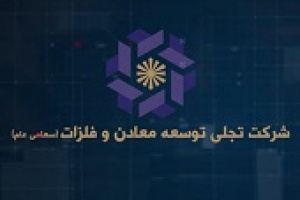 تجلی در عملکرد ۶ ماهه تلفیقی ۱۶ ریال سود محقق کرد
