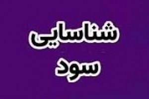 شناسایی سود ۱۱.۶ هزار میلیارد تومانی وبملت از محل سه عرضه بلوکی