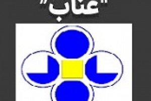 غناب با جهش ۲۱۷ درصدی برای هرسهم۴۱ ریال سود محقق کرد