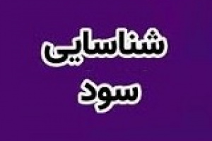 شناسایی سود ۵۲۲.۶ میلیارد تومانی وبصادر از فروش بلوک ونیکی