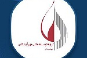 توضیح ومهان درباره مدیریت ریسک ها، وضعیت پرتفوی و روند سودآوری
