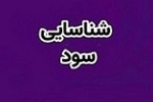 شناسایی سود ۱.۴ هزار میلیاردی وشهر از محل واگذاری ملک