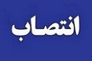 مدیرعامل توسعه بانک صادرات سکاندار جدید وبصادر شد