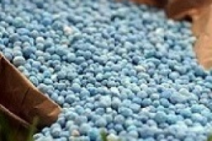 شفاف‌سازی شیراز درباره قیمت اوره تحویلی به بخش حمایتی کشاورزی