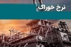 نرخ خوراک گاز پتروشیمی‌ها در عرض یک ماه ۱۶ درصد رشد کرد