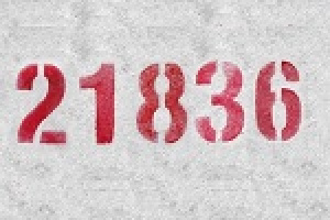 سمهریز با ۲۱۸۳۶ ریال وارد بازار سهام شد / آمار خریداران سیزدهمین سهم جدید