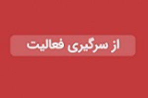 تولید الیاف پلی استر شپلی پس از توقف یک ماهه از سر گرفته شد