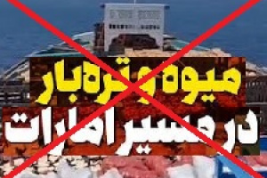 امارات ۳ میلیون دلار از میوه و تره‌بار صادراتی ایران را پس فرستاد!