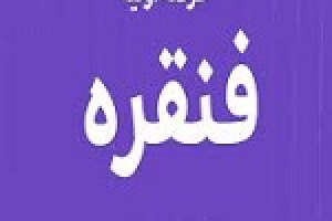 نوزدهمین عرضه اولیه با ۹ درصد سهام فنقره در دو مرحله