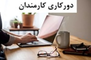 شیوه دورکاری کارمندان دولت تغییر می‌کند