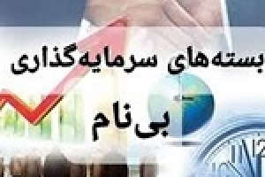 سردرگمی بسته‌های سرمایه‌گذاری بی نام + درخواست از وزارت اقتصاد