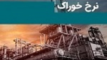 رایزنی درباره نرخ خوراک پالایشی ها ادامه دارد/ تسویه مطالبات...