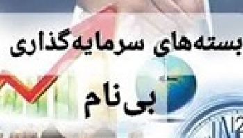 سردرگمی بسته‌های سرمایه‌گذاری بی نام + درخواست از وزارت اقتصاد
