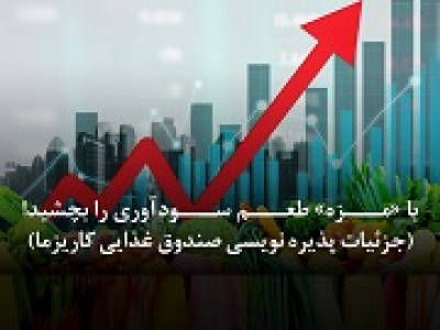 با صندوق مزه کاریزما در یکی از سودآورترین صنایع سرمایه‌گذاری کنید!