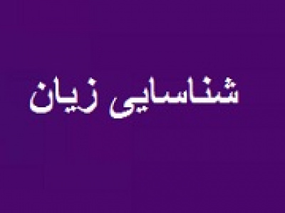 وتوصا از عرضه اولیه سهام زیرمجموعه زیان کرد!