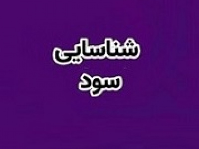 سود ۷۹ میلیاردی وسپه از عرضه اولیه ۱۲ درصد سهام زیرمجموعه
