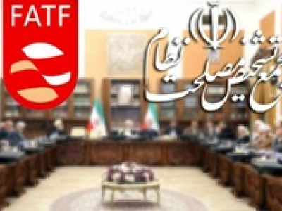 استدلال‌ های عراقچی و فرزین موجب تصویب پالرمو در مجمع شد