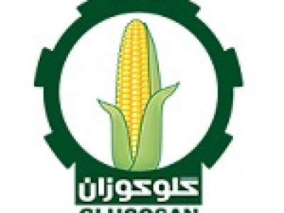 غگل ۴۰ تومان سود نقدی برای هر سهم توزیع کرد