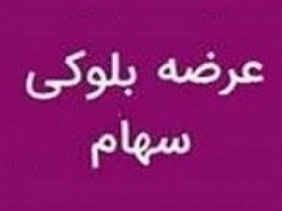 برنامه سهامدار حقیقی برای عرضه بلوک ۶.۸ درصدی شرکت کاغذ پارس