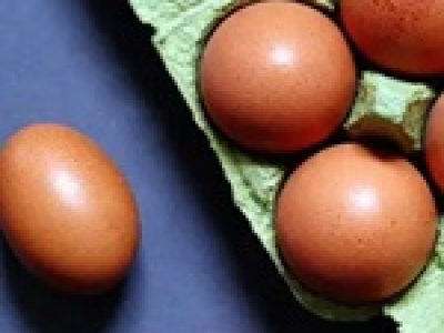طرح تاسیس شهر تخم‌ مرغ با حضور ۶۰ درصد از شرکت ها