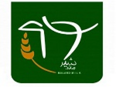 تحلیلی از عملکرد، پیش بینی سود و P/E زملارد + ارزیابی زمین های تادیکو