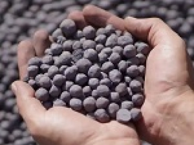 قیمت پایه گندله سنگ آهن در بورس از نرخ صادراتی معاف می‌شود/ زمان اعمال