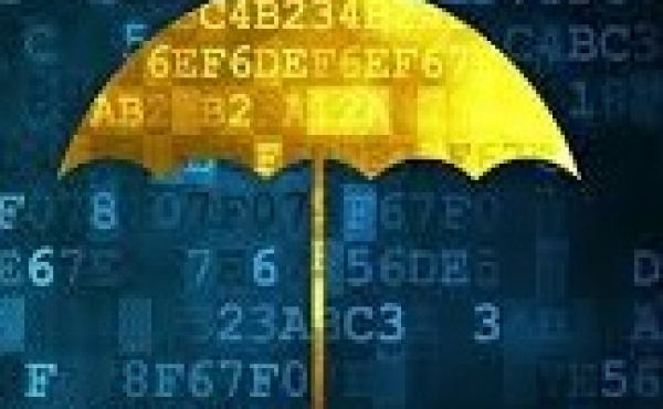 نامه مشترک ۳ خدمات دهنده بیمه آنلاین به وزیر ارتباطات