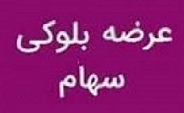 برنامه سهامدار حقیقی برای عرضه بلوک ۶.۸ درصدی شرکت کاغذ پارس